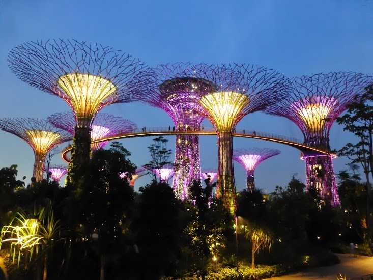 Singapore Design - Supertrees - Kati Curtis Design | NYC and LA ...